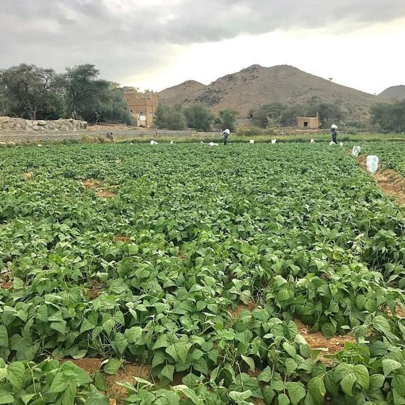 أجواء الطبيعة البكر في وادي العرين