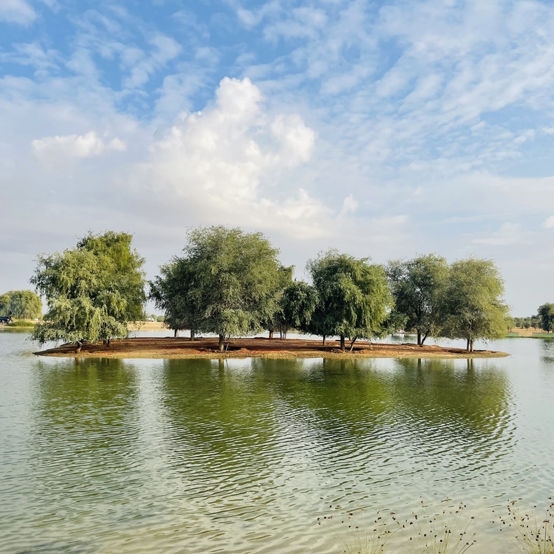  أجواء مثالية للاستجمام في بحيرات القدرة - المصدر @bastaki1976.