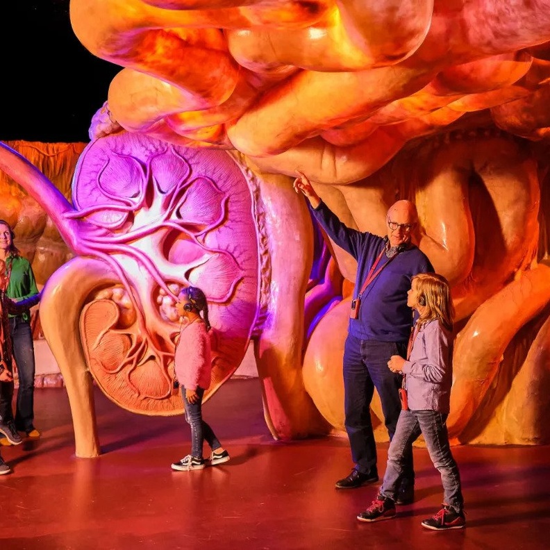 استمتع بإستكشاف جسم الانسان في متحف كوربوس