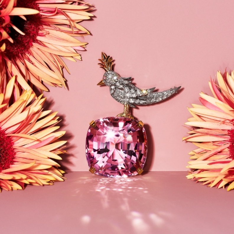 الإرث المبهر لأيقونة المجوهرات جان شلمبرجير Jean Schlumberger