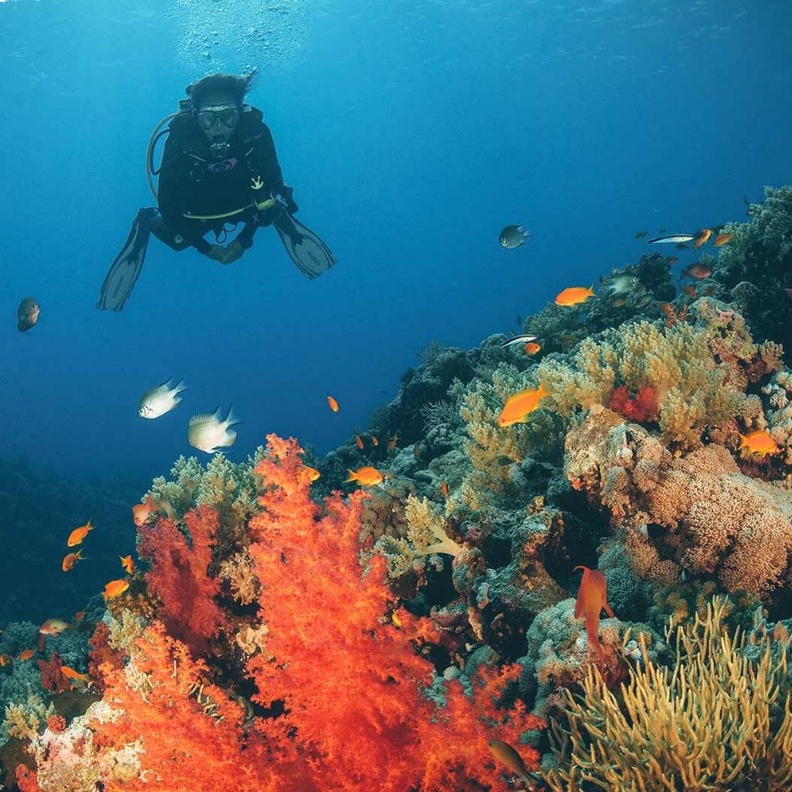 جرعة لا مثيل لها من المتعة والاستجمام في العيد.. إليكم أبرز التجارب الصيفية في أبحر