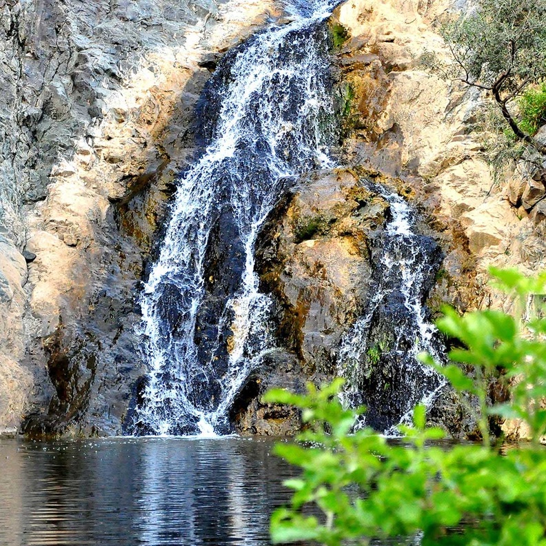 5 تجارب ممتعة لعشاق المغامرة في غابة رغدان