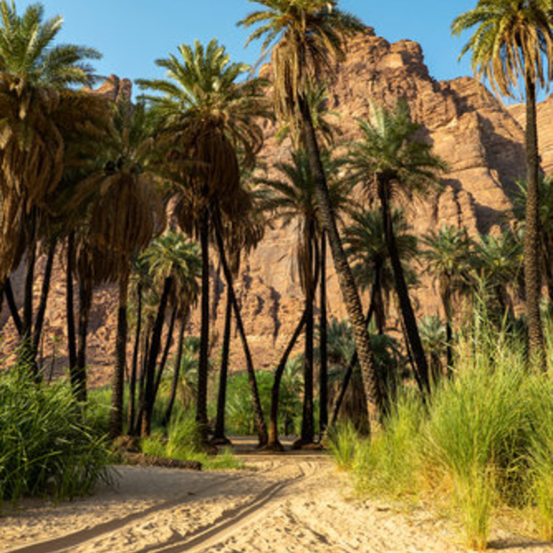 أبرز الوجهات السياحية في تبوك 