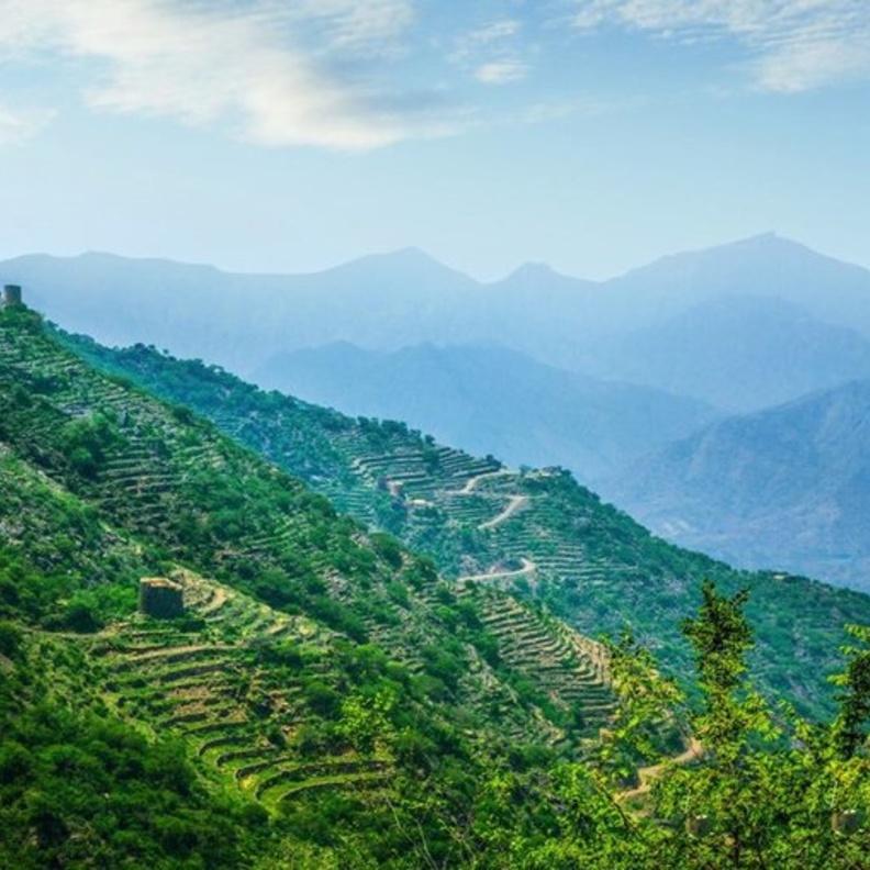 إجازتك الصيفية في الطائف.. إليكِ أجمل الفعاليات والأنشطة السياحية