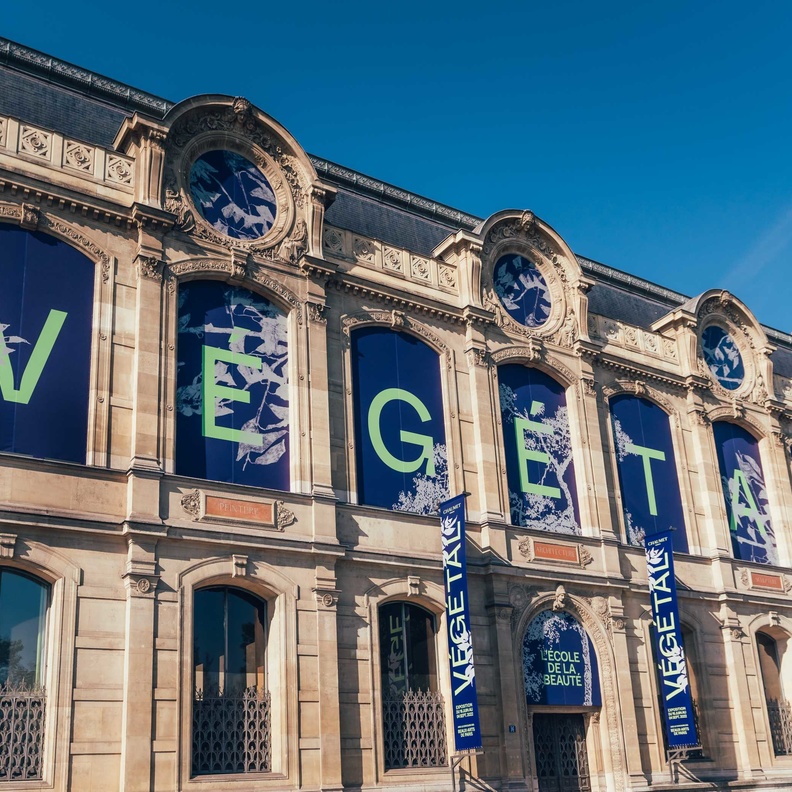 دار شوميه تقدم المعرض النباتي بمدرسة الفنون الجميلة في باريس