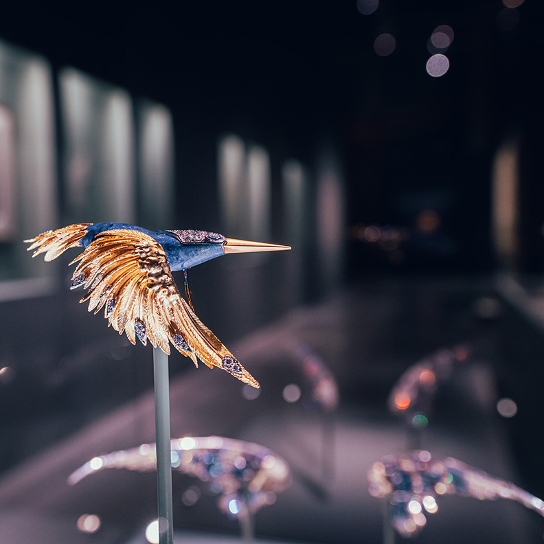 تعاون بين دار شوميه والفنان الإماراتي أحمد العريف لتسليط الضوء على أهمية الطبيعة