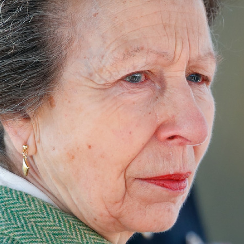 لماذا لم يسمح للأميرة آن بالدراسة في نفس مدارس أشقائها الذكور؟