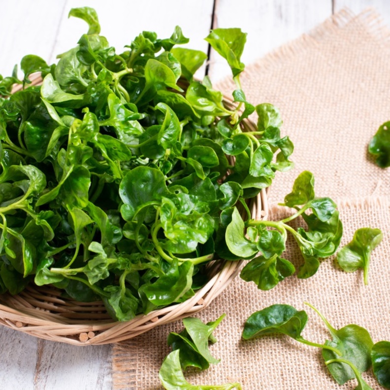 ما علاقة الجرجير بصحة القلب