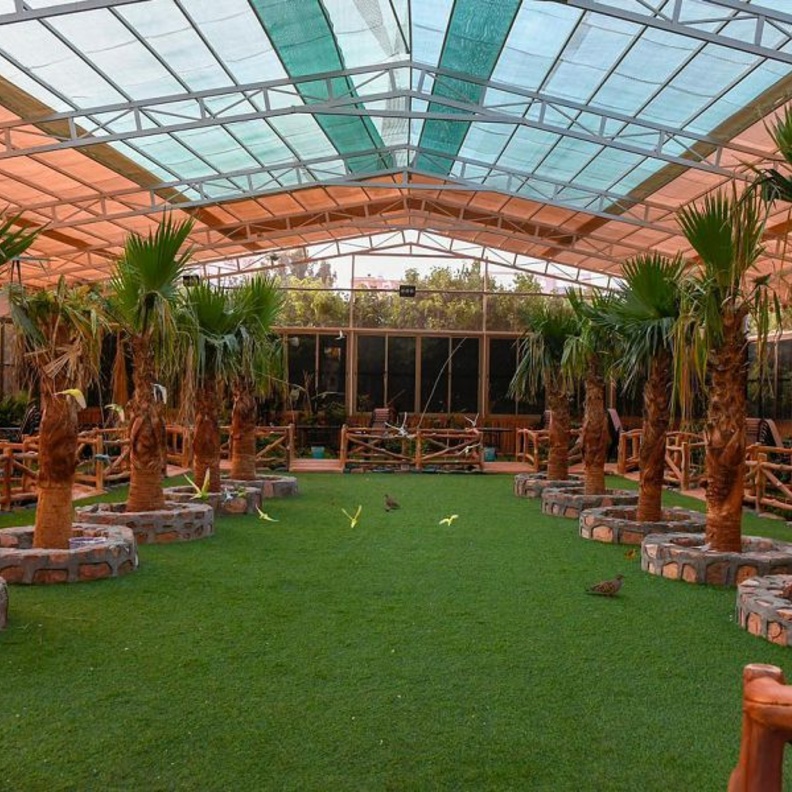 النزل الريفية وتصاميم تأسر القلوب - المصدر واس