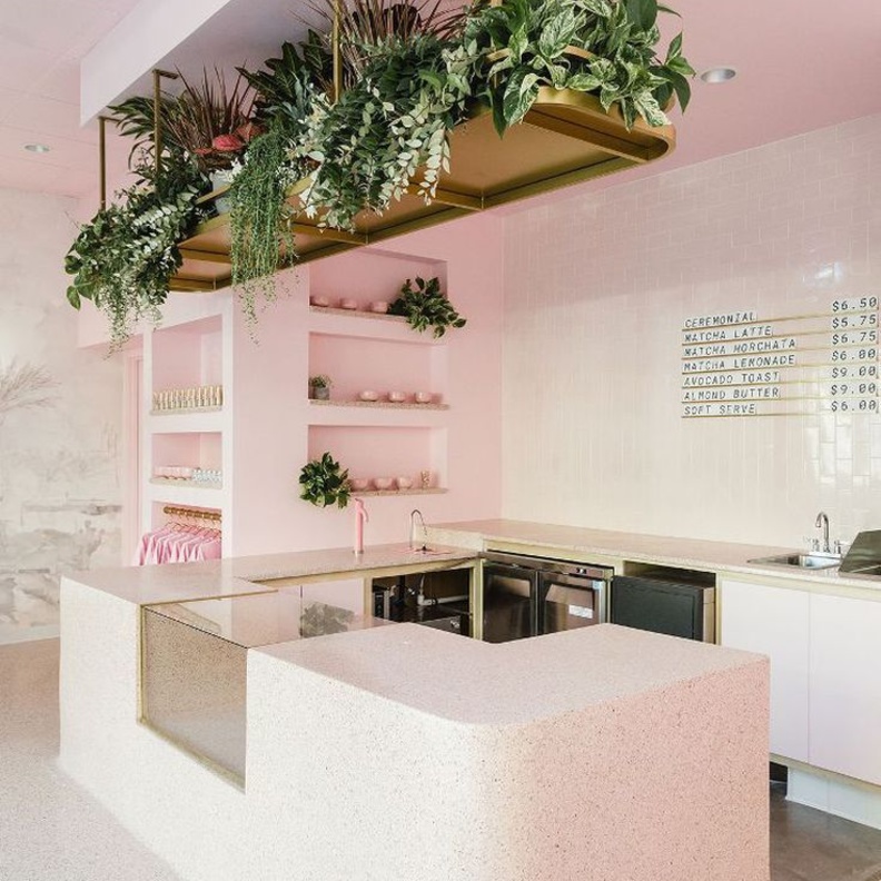 تصميم النباتات المعلقة في المطبخ يضفي عليه لمسة مميزة وجذابة