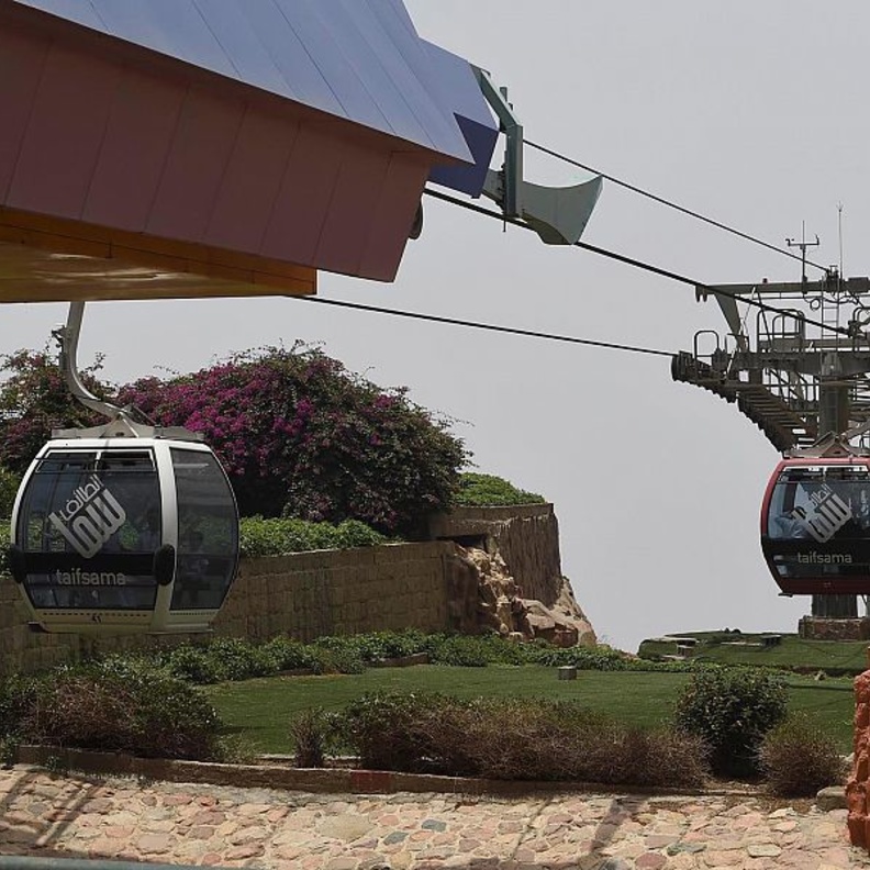 تلفريك الهدا.. تجربة بانورامية مثيرة في أحضان الجبال وبساتين الورود