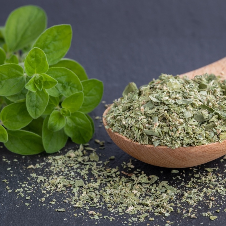 البردقوش لصحة النساء.. فوائد واستخدامات لا تحصى