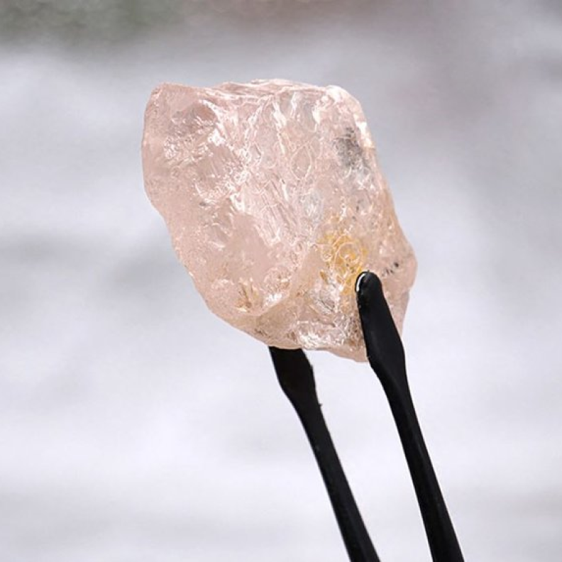 لقطة قريبة للولو روز