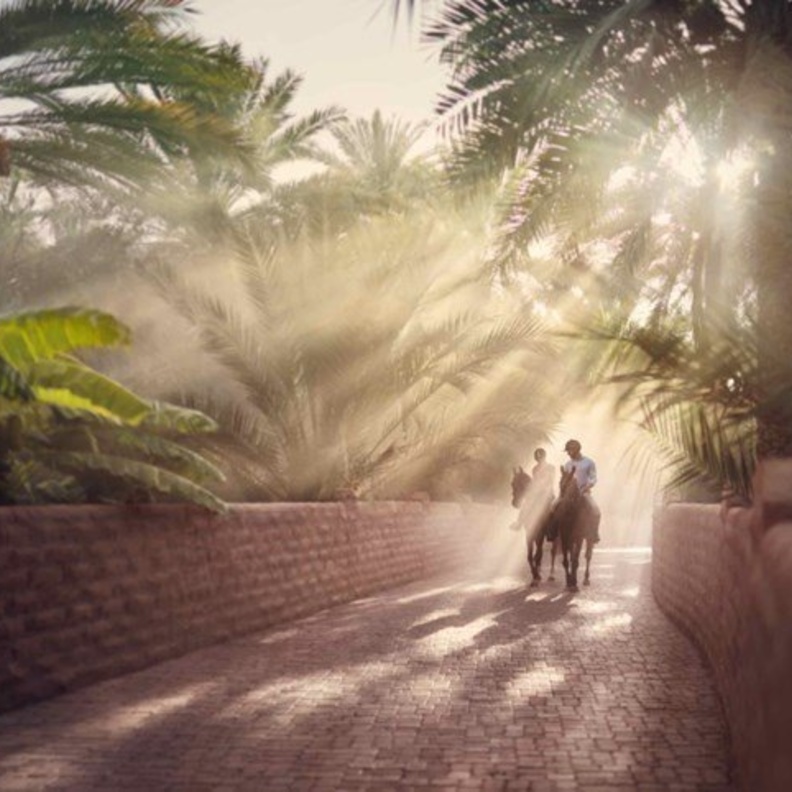 لعشاق الصيف.. إليكم 5 تجارب أسرية ممتعة في أبوظبي