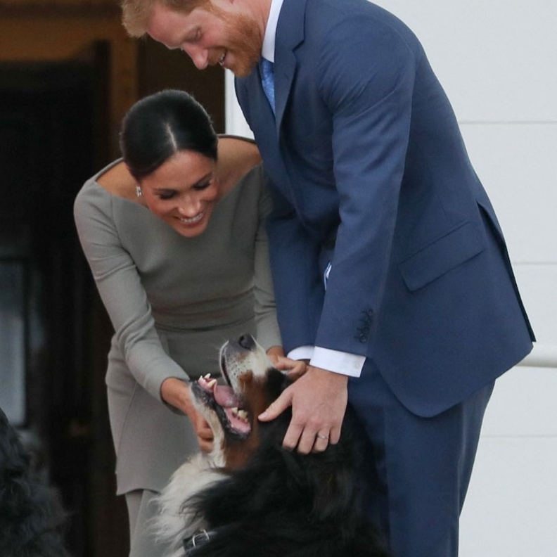 ما هي قصة "ماما ميا" كلبة ميغان ماركل والأمير هاري الجديدة؟