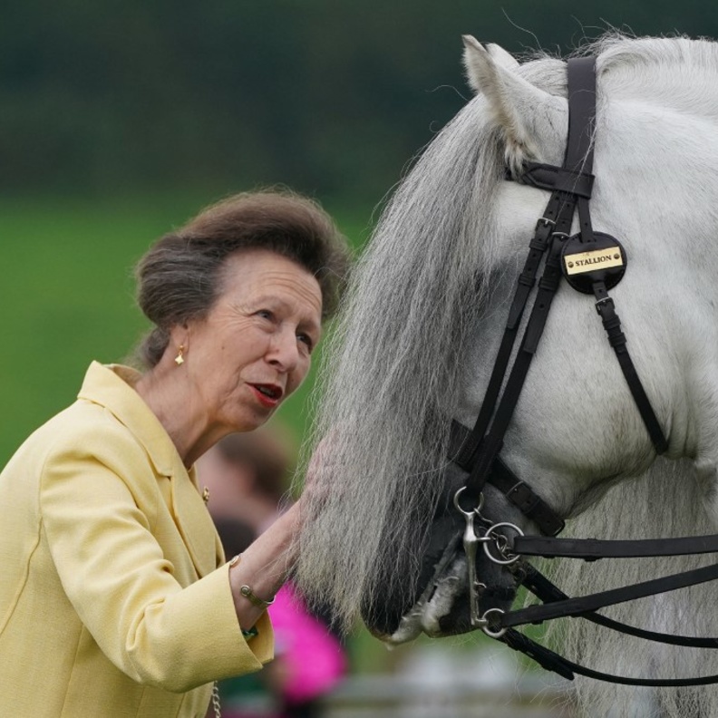 من هي الأميرة آن أكثر أفراد العائلة المالكة البريطانية نشاطًا؟