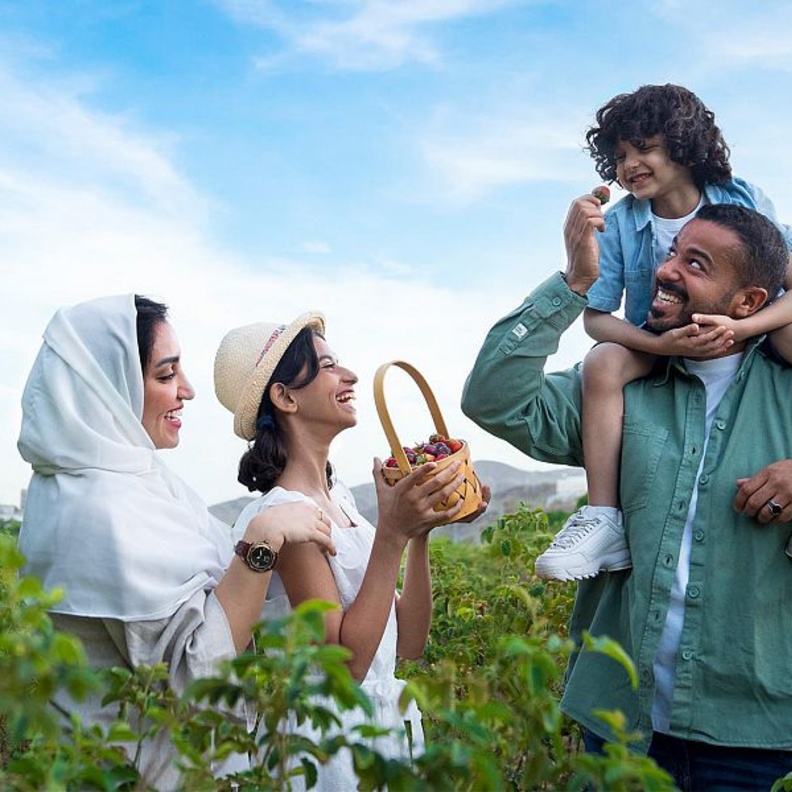 صيف السعودية.. فعاليات منوعة لعشاق الطبيعة في عسير والطائف وجدة