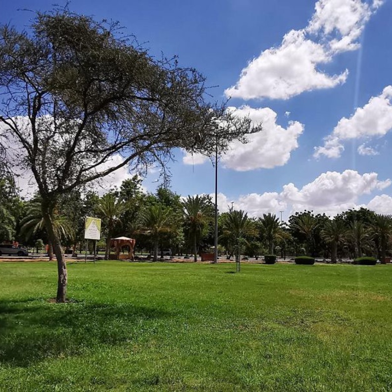 متنزه الملك فهد الوطني.. مسارات وتجارب متنوعة لعشاق الطبيعة في نجران