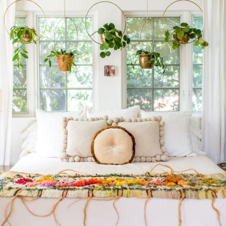 أحواض النباتات لغرف نوم أكثر إشراقا