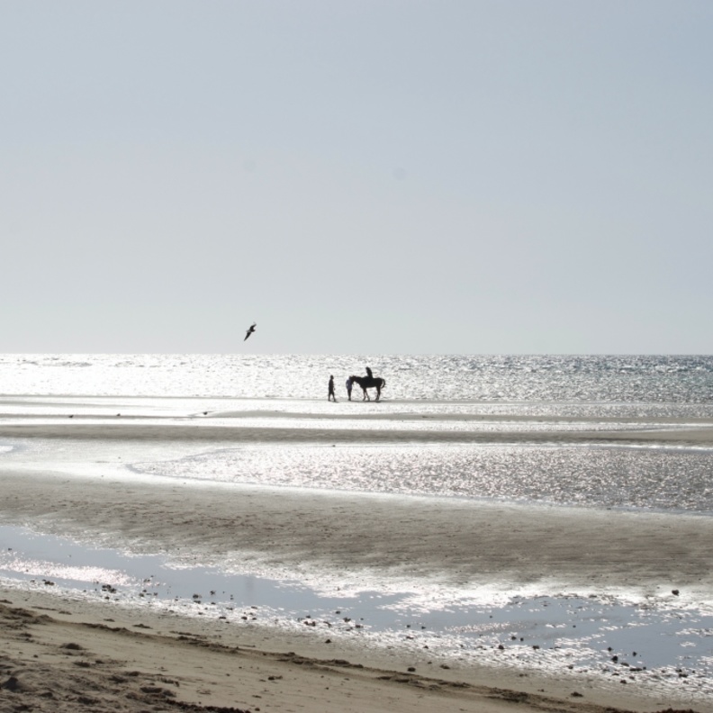 وجهات سياحية مثالية للعوائل في السعودية