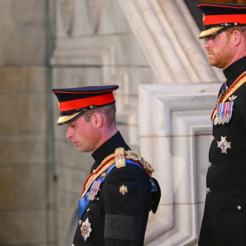 بادرة مراعية من الأمير وليام اتجاه الأمير هاري