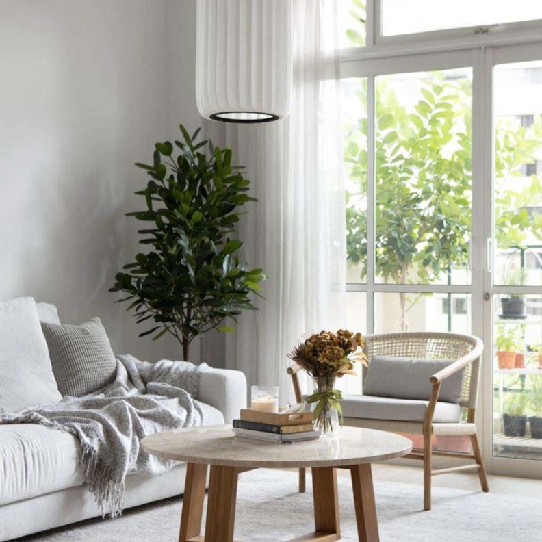 حوض من النباتات الخضراء وإناء زهور جافة تزيين غرفة معيشة مودرن 2022