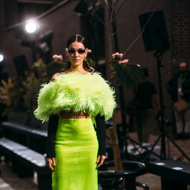 صيحة الريش بلون حيوي