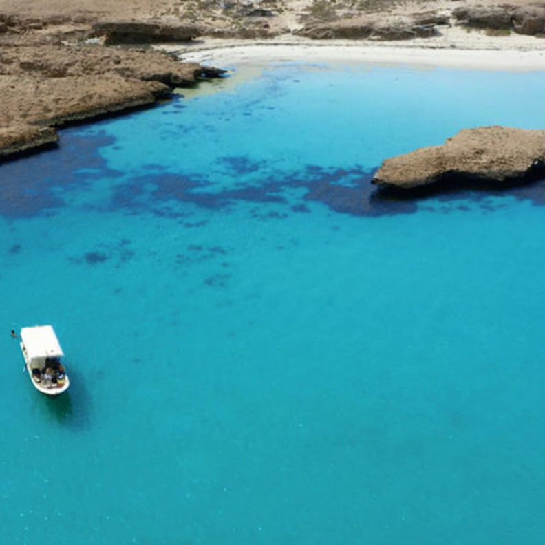 خيارات مثالية للاستجمام في المملكة- المصدر روح السعودية