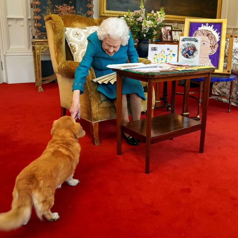 أين تذهب كلاب إليزابيث الثانية ملكة بريطانيا بعد وفاتها؟