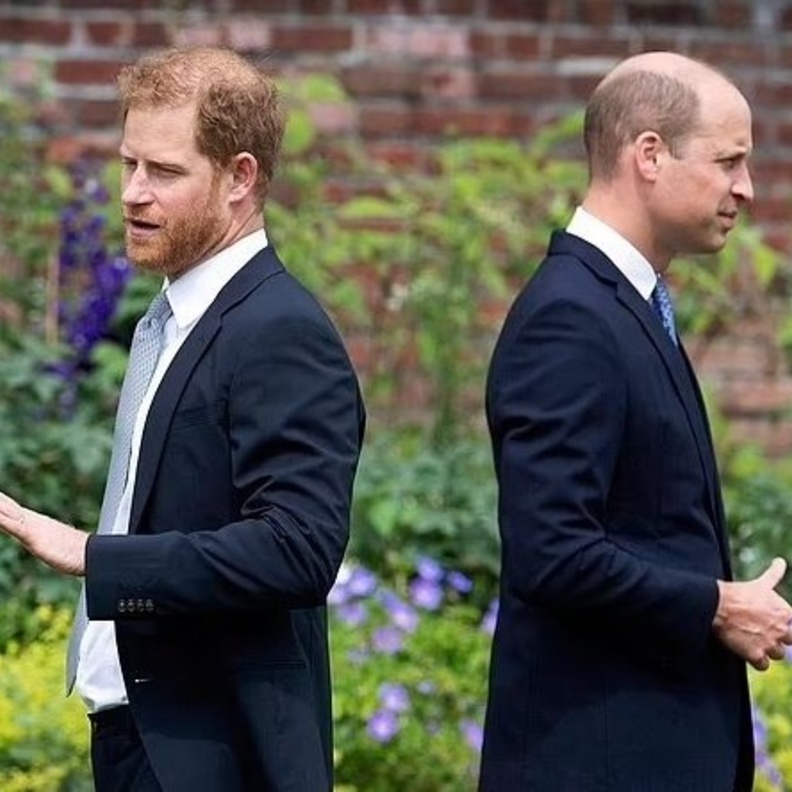 كيف يجعل ويليام وهاري "ديانا" حاضرة في ذاكرة أطفالهما؟  