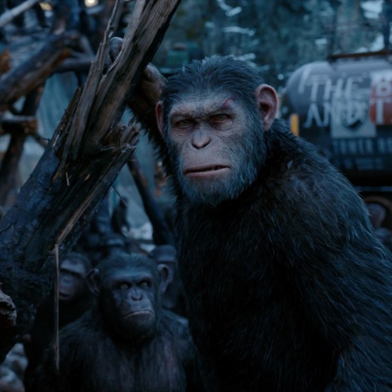فيلم جديد جاري التحضير له لفيلم "Planet Of The Apes"