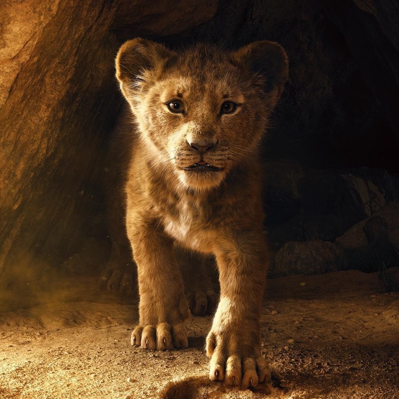 فيلم "The Lion King"