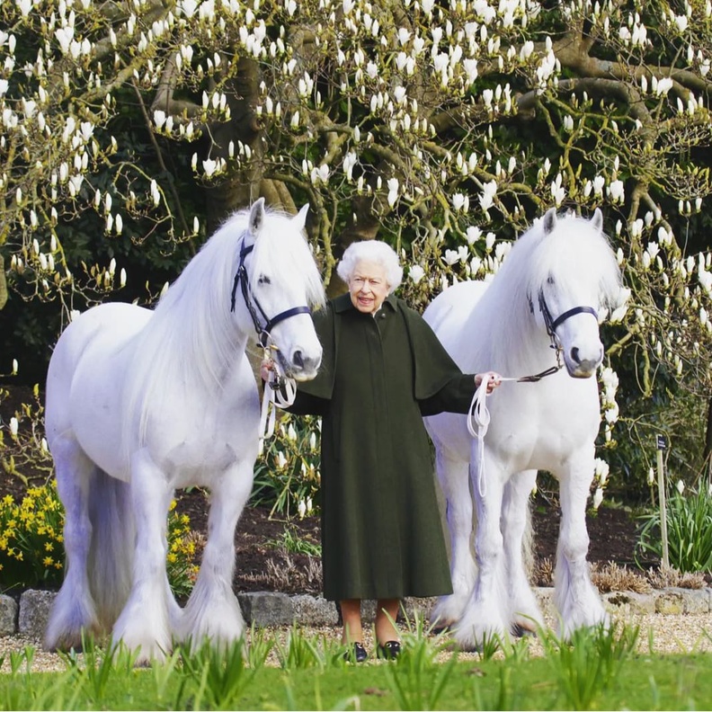 الملكة إليزابيث الثانية 