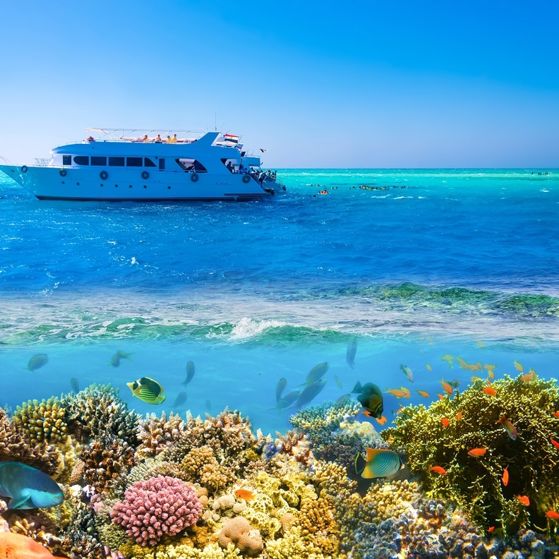 قائمة بالشواطئ التي اختارها المشاهير لممارسة رياضة الغطس.. وهكذا استعرضوا جمال الحياة تحت الماء 