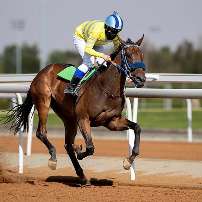 "أمل بنت فيصل" أول سعودية تُمنح رخصة "خيال" في سباقات الخيل