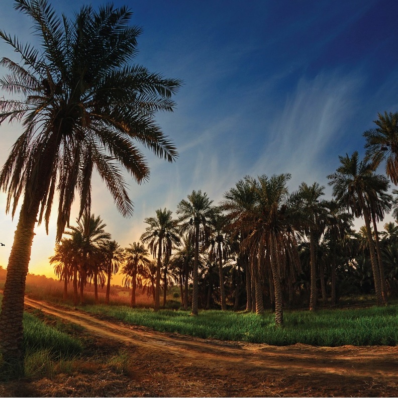 أجمل لقطات غروب الشمس في المملكة