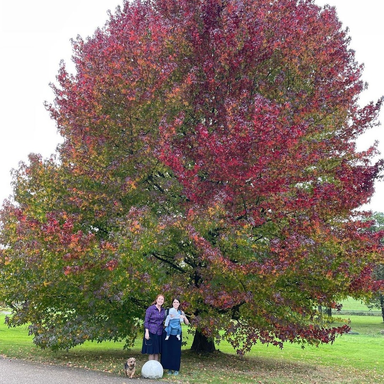 الأميرة يوجين تنشر صورة جديدة لطفلها