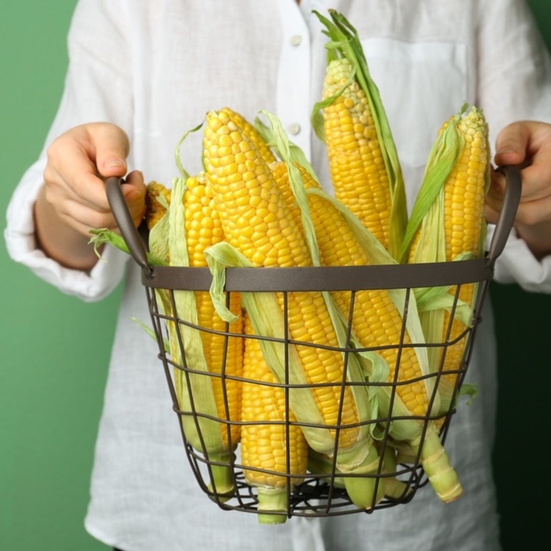 الذرة الصفراء مفيدة للصحة والبشرة.. لكن إحذري مخاطرها