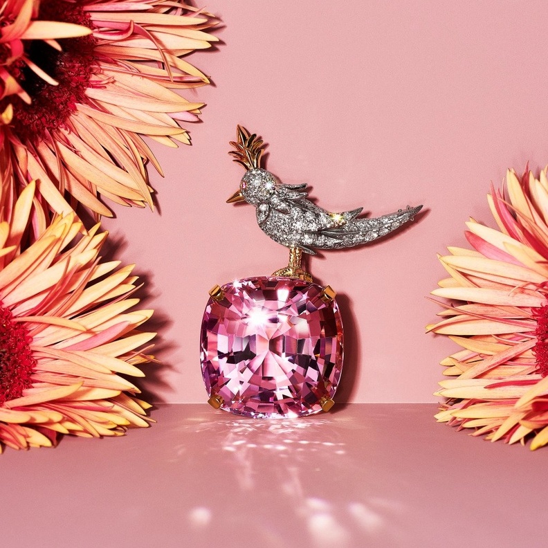 بروش من تيفاني  Tiffany