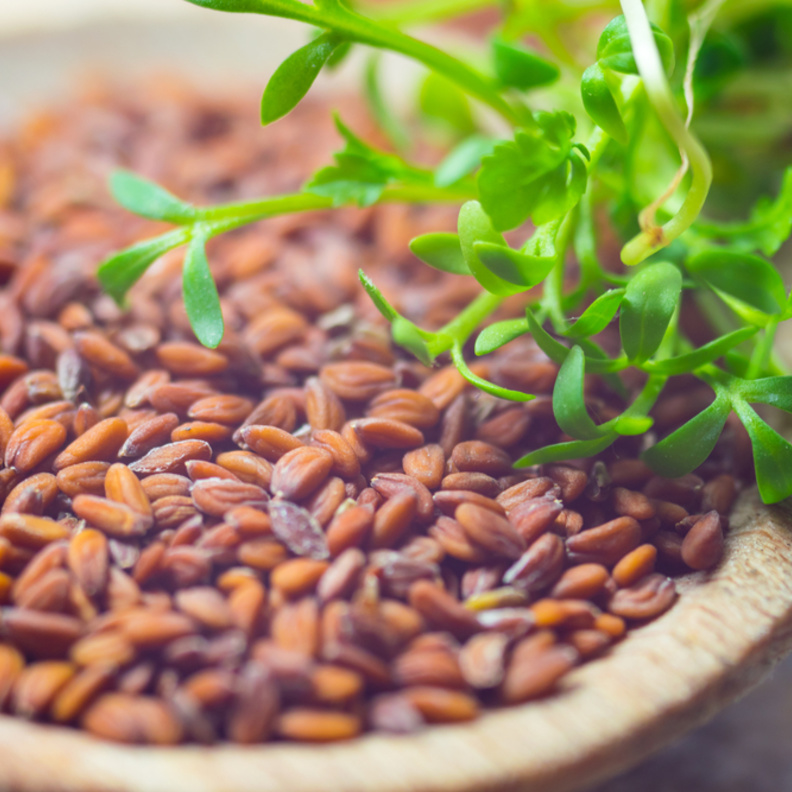 كيف يساعدك حب الرشاد على زيادة الوزن