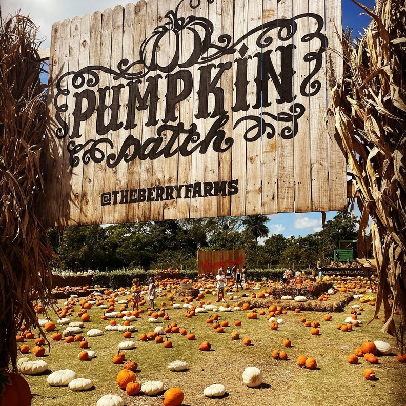 هكذا استعدت الأميرة مادلين وأطفالها للهالوين