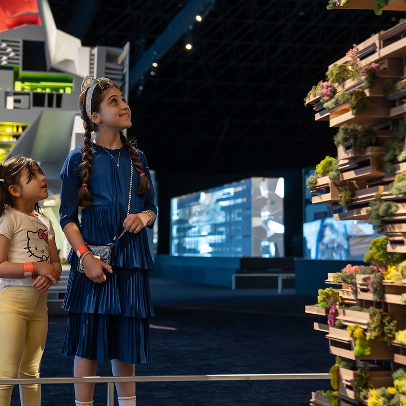 فنادق عالمية وتجارب ضيافة غير مسبوقة تنتظر ضيوف تروجينا.. تعرفوا على التفاصيل