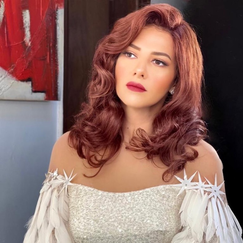  دنيا سمير غانم 