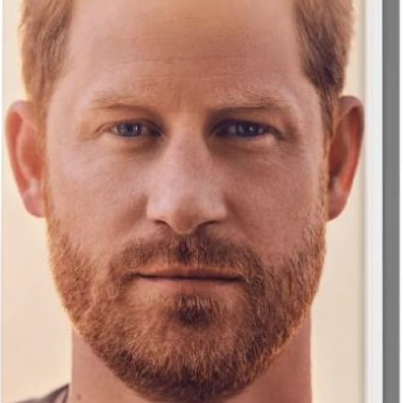 العائلة المالكة متخوفة من محتوى كتاب الأمير هاري الذي "سينتقد الجميع"