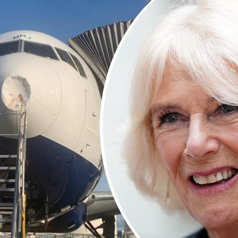 أزمة توجه طائرة الملكة كاميلا بسبب الطيور