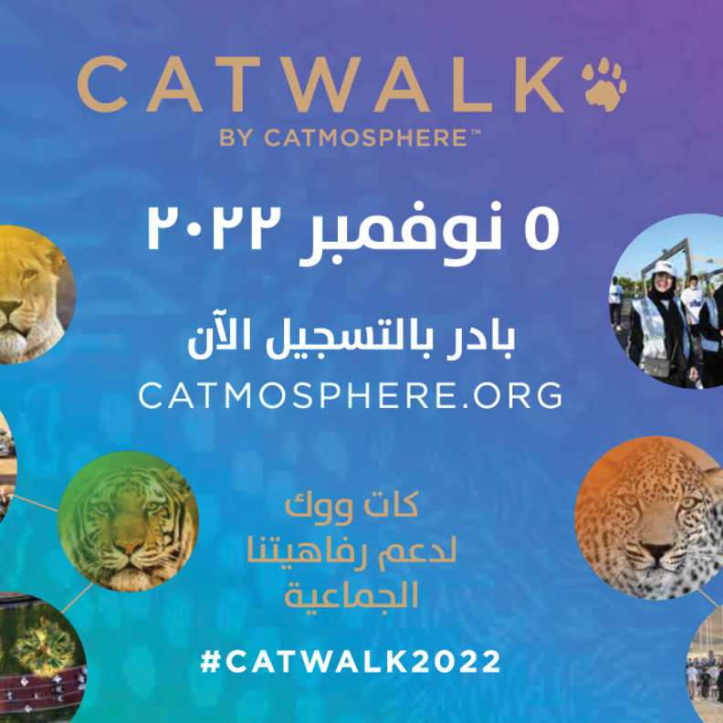 كاتموسفير تطلق مسيرة كات ووك المجتمعية للحفاظ على القطط البرية 