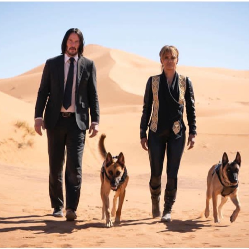 مواعيد طرح الأجزاء الجديدة من سلاسل الأكشن الشهيرة