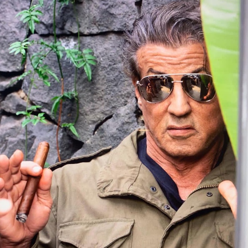 سيلفستر ستالون