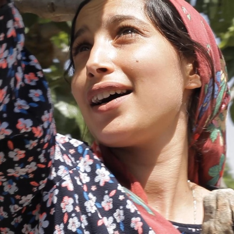 مهرجان البحر الأحمر السينمائي الدولي يعلن عن باقة من الأفلام العالمية