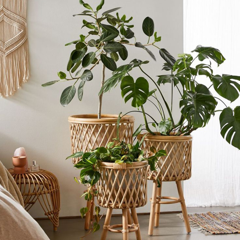 أحواض نباتات طبيعية سلال من القش لديكورات غرف النوم